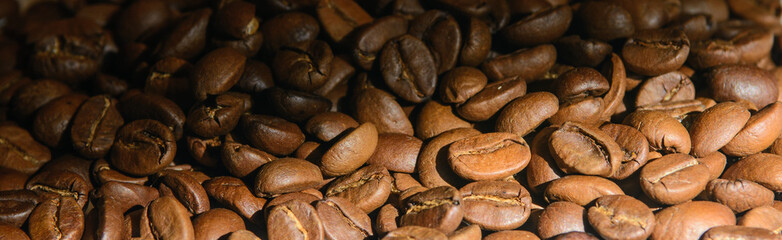 coffee grains lit by the sun. Panoramic shot. Concept - morning coffee. Enjoying good coffee