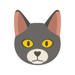 Cat head icon. Flat illustration of cat head vector icon for web design