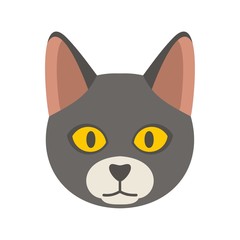 Fototapeta premium Cat head icon. Flat illustration of cat head vector icon for web design