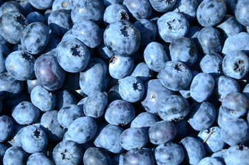 Full frame view on an amount of blueberries.