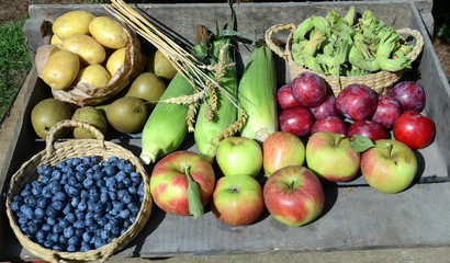 Harveest arrangement with apples, pears, haselnuts, plums, and more.