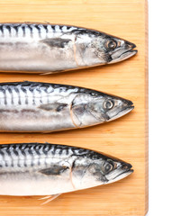 Board with raw mackerel fish on white background