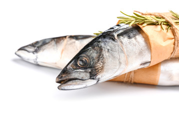 Raw mackerel fish with rosemary on white background