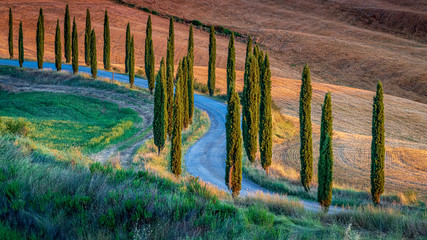 Fototapety  A breathtaking high angle shot of a S-curved road surrounded by cypress trees in the hills at sunrise in Tuscany, Italy. Travel and holiday destinations