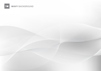 Abstract white and gray color wavy wave lines pattern background with space for your text.