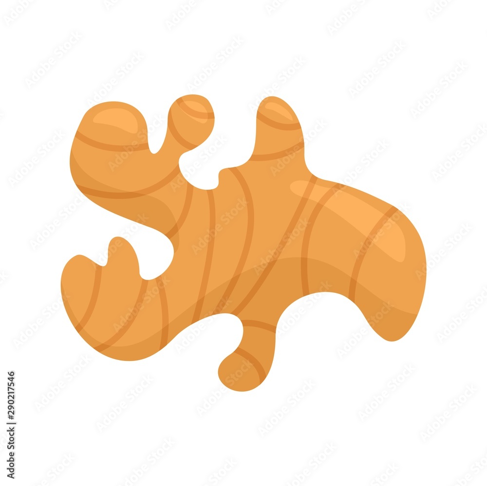 Wall mural ginger icon. flat illustration of ginger vector icon for web design