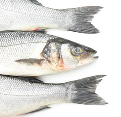 Fresh seabass fish on white background