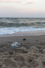 Fototapeta na wymiar Plastic garbage on the seashore