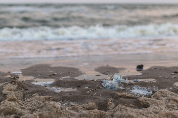 Plastic garbage on the seashore