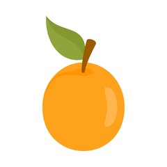 Fresh apricot icon. Flat illustration of fresh apricot vector icon for web design