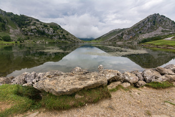 Fototapeta premium Enol lake in the mountains of the Picos de Europa in Asturias (Spain)