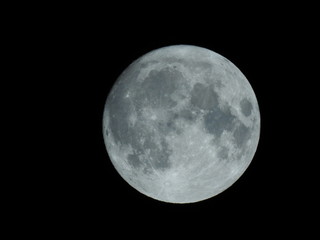 明日は満月。月齢14.1。七十二候、鶺鴒鳴、せきれいなく。月イメージ素材