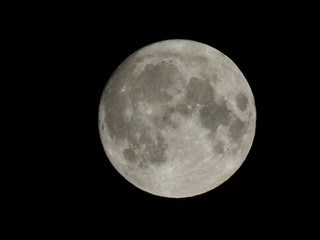 明日は満月。月齢14.1。七十二候、鶺鴒鳴、せきれいなく。月イメージ素材