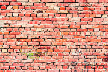 Obraz premium Texture of a brick wall with cracks and scratches which can be used as a background