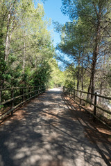 Road of the ebro greenway in Tarragona