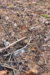 White plastic bottle on the ground in a pine forest.