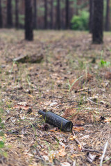 Brown glass bottle on the ground in a pine forest.