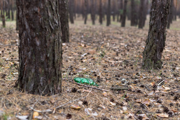 Green plastic bottle on the ground in a pine forest.