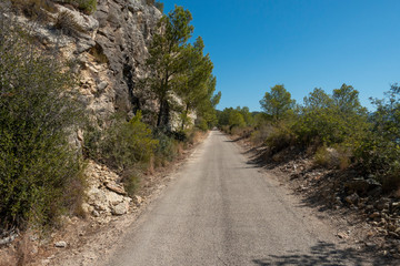 Fototapeta na wymiar Road of the ebro greenway in Tarragona