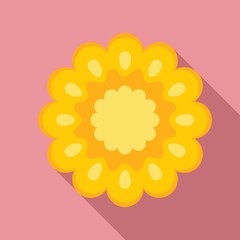 Section corn icon. Flat illustration of section corn vector icon for web design