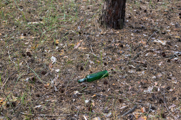 Green glass bottle on the ground in a pine forest.