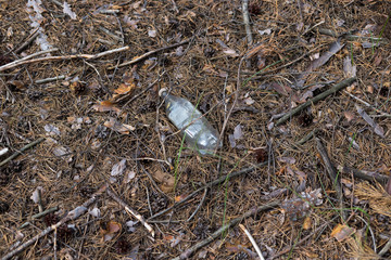 White plastic bottle on the ground in a pine forest.