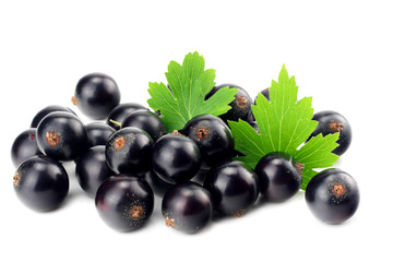 black currant with green leaf isolated on white background. macro