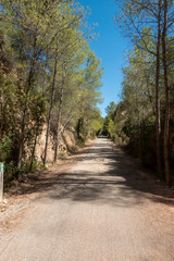 Fototapeta premium Road of the ebro greenway in Tarragona