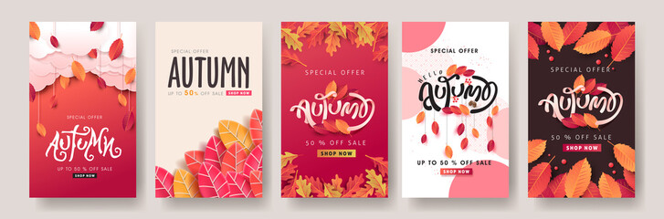Autumn sale background layout decorate with leaves for shopping sale or promo poster and frame leaflet or web banner.Vector illustration template. - obrazy, fototapety, plakaty
