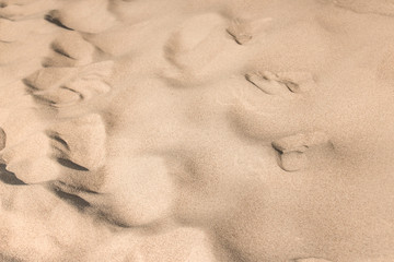 Footprints in the sand