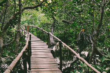 Obraz premium Wooden boardwalk through the Mangroves of Mida Creek, Kenya
