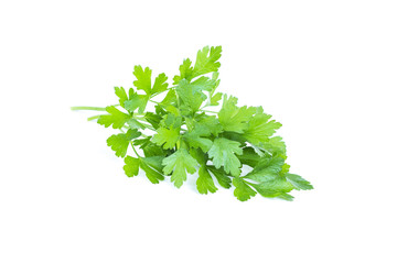 Tasty green leaves of parsley, fresh green plant, parsley bunch, vegetarian food, natural aromatic spice, isolated on white background