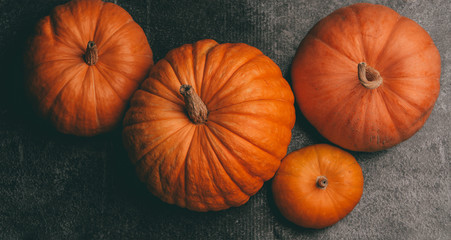 Photo from above of four orange pumpkins on black background, halloween celebration