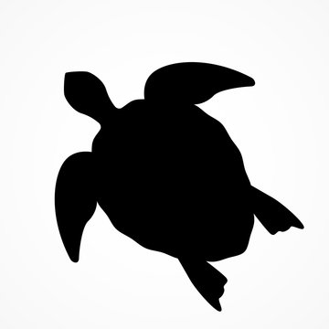 top view of a large sea turtle. black silhouette of a turtle.