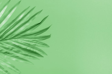 Fototapeta na wymiar Green background with leaf and copyspace