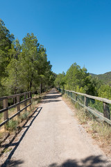 Fototapeta na wymiar Road of the ebro greenway in Tarragona