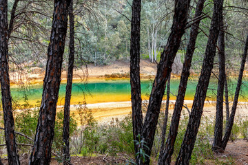 Colorful river seen through pine forest. River Odiel, Andalucia, Spain