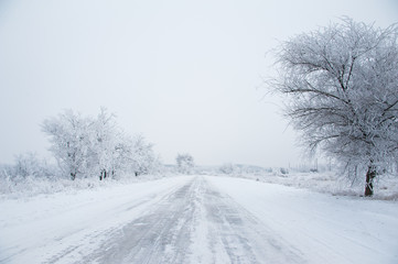 Fototapeta na wymiar Dirt road in the forest in winter