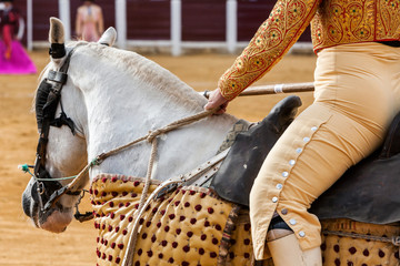 Picador bullfighter, lancer whose job it is to weaken bull's neck muscles, in the bullring fo...