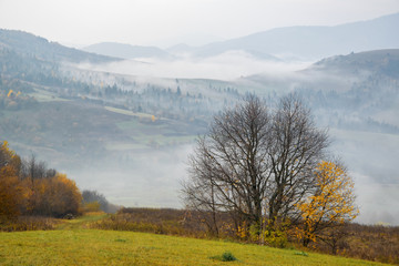 Morning in the Carpathian mountains at late autumn