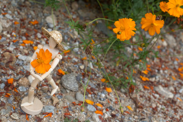autumn leaves on the ground