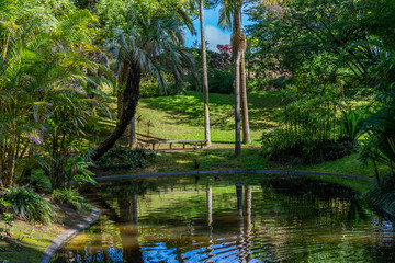 Garden in the City of Ponta Delgada, Azores