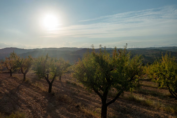 Mountains in the prat de comte de Tarragona