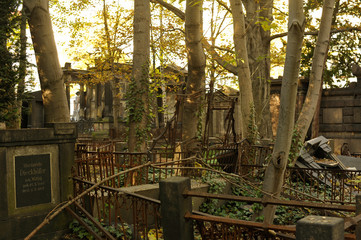 Herbst in Berlin - Friedhof St. Marien und St. Nikolai in Berlin-Prenzlauer Berg