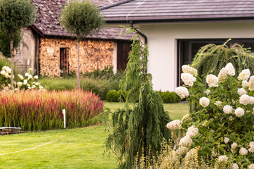 TrAWY W OGRODZIE © Beenis