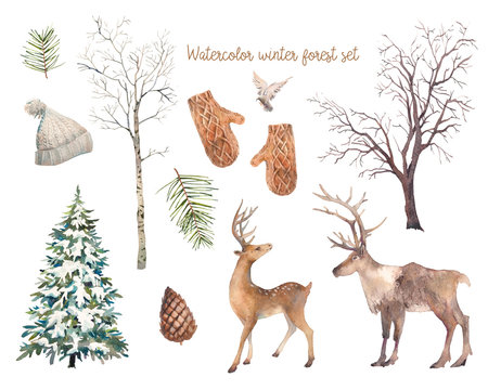 Winter trees and animals set. Watercolor silhouettes of snow covered Christmas tree, birch and elm, deers, bird, pinecone.