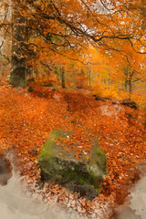 Digital watercolor painting of Beautiful colorful vibrant forest woodland Autumn Fall landscape in Peak District in England