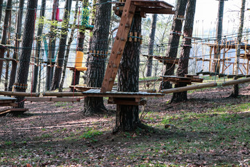 Ladder for an obstacle course in the forest. Extreme sport.