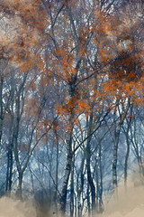 Digital watercolor painting of Stunning colorful Autumn Fall landscape in foggy Peak District in England