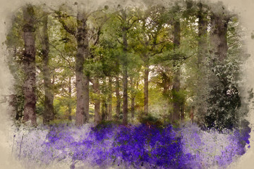 Digital watercolor painting of landscape of vibrant bluebell woods in Spring
